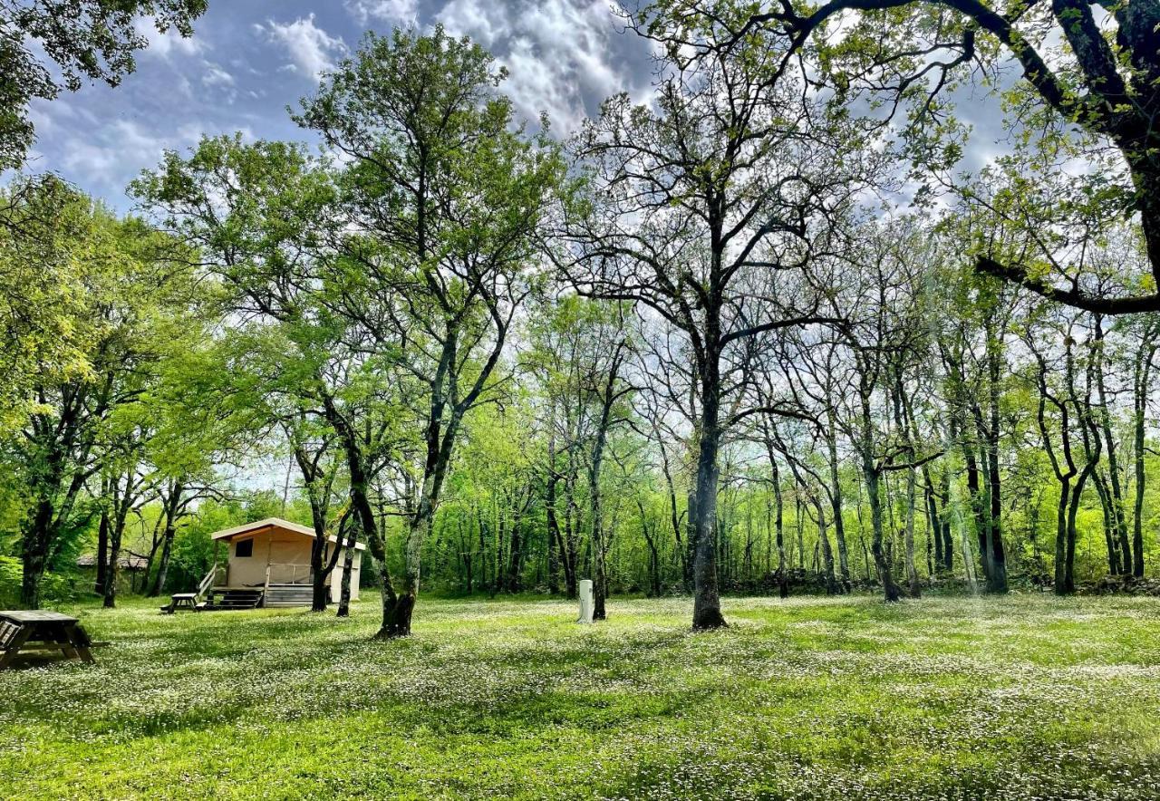 Lodges Du Bois Dodo - Ancien Camping De Bois Redon Septfonds Dış mekan fotoğraf